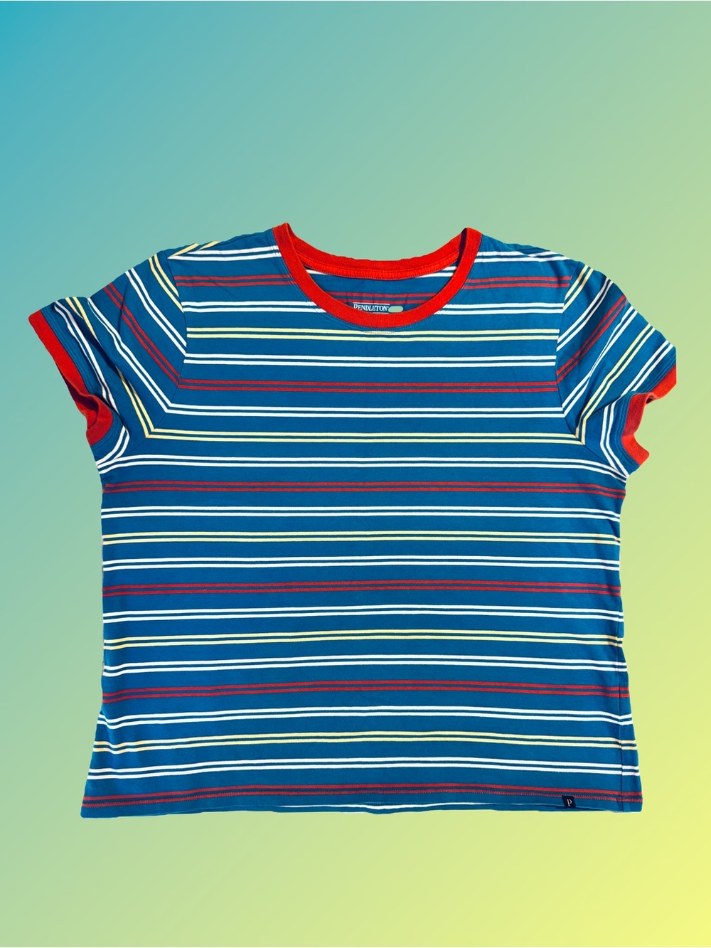 Pendleton Deschutes Blue Striped Ringer T-shirt